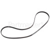 Philips Poly-Vee Drive Belt - 1161J5PJE