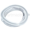 Door Gasket