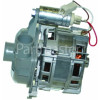 Euro Recirculation Pump