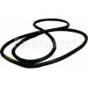 Servis Tub/Backplate Gasket