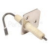 Eurolec Spark Plug / Electrode Only : Oven With Fixing Plate