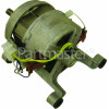 Baumatic BHWM10 Motor Assembly