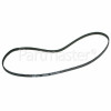 DeLonghi Toothed Drive Belt : Bread Maker ( Bm450 Etc, )