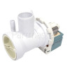 Edy Drain Pump