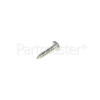 Self Tapping Screw