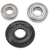 Hotpoint Bearing & Seal Kit