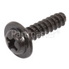 Sandstrom Screw