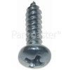 Polti Obsolete Screw 35X13TCTC Inox