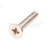 Atlan Screw 4mmx22mm