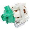 Diplomat ADP8252 Recirculation Pump