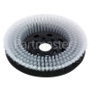 Numatic 280mm Octo High Density Nyloscrub Brush