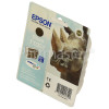 Epson Genuine T1001 Black Ink Cartridge
