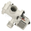 Drain Pump Assembly