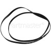 Gorenje Poly-Vee Drive Belt