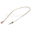 528c Thermocouple : 500mm