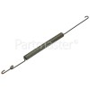 Arthur Martin Electrolux Spring Hinge