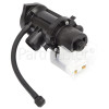 Daewoo Drain Pump Assembly : Leili Changzhou BPX2-2L 35W
