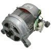 Motor 1300RPM (54-LT-AC) C812WM17 / Nidec Sole WU126T65V04