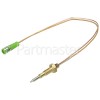 Thermocouple : 200mm