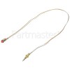 Thermocouple : 550mm