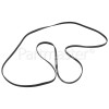 Export Poly-Vee Drive Belt - 1991H6EPH