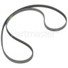 Gaggenau WM204140/22 Poly-Vee Drive Belt - 1255J5PJE (1255J5)