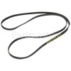 Hotpoint Poly-Vee Drive Belt - 1885H8