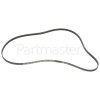 A1007TRS Poly-Vee Drive Belt - 1228H7EPH