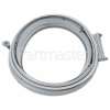 Whirlpool Door Seal