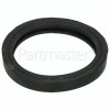 Castor Filter Seal