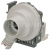 MSI60SL Drain Pump Assembly : Hanyu B30-6A 30W