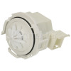 Fors Drain Pump : Leili Changzhou BLP-2 A04852503 35W