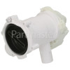 Smeg Drain Pump Assembly