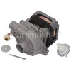 Continental Spray Pump Motor