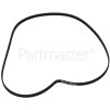 CLWM6120 Poly-Vee Drive Belt - 1239J5