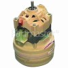 Electrolux Z1620 Obsolete Motor Complete Cylmicrolite 1610 From Serial 242