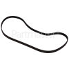 FRF170FF Poly-Vee Drive Belt - 1238J6EPJ