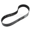 Arthur Martin Agitator Belt