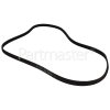 Philips Poly-Vee Drive Belt - 1310J5