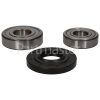 High Quality Replacement Bearing & Seal Kit (6305ZZ & 6306ZZ)