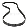 ELF812D1 Poly-Vee Drive Belt - 1236J6