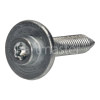 Blaupunkt 5CH24030/01 Screw