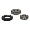 Servis Bearing & Seal Kit ( 6305ZC3 & 6204ZC3) & Seal 35x62x10 Kit