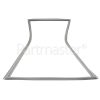Grundig GKN 16820 X Fridge Door Seal