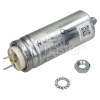 Elegance Capacitor