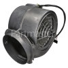 Bosch Motor