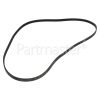 Juno Le Maitre Poly-Vee Drive Belt - 1200J5