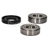 Hilton High Quality Replacement Drum Bearing & Seal Kit (6204zz & 6205zz)