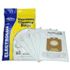 Electrolux S-Bag Classic Filter-Flo Synthetic Dust Bags (Pack Of 5) - BAG355
