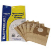 Desina E51 Dust Bag (Pack Of 5) - BAG213